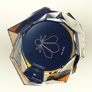 beeloved project